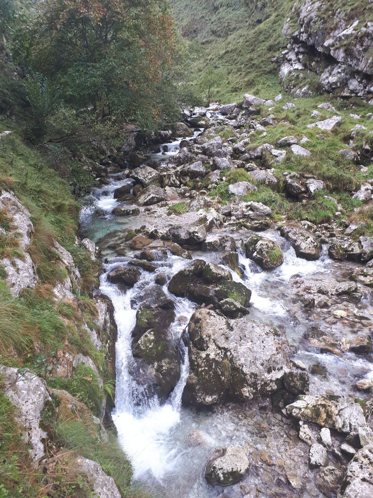 20191101_125908.jpg