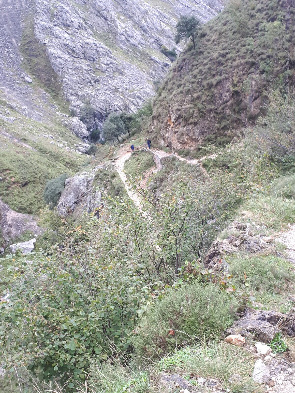 20191101_131044.jpg