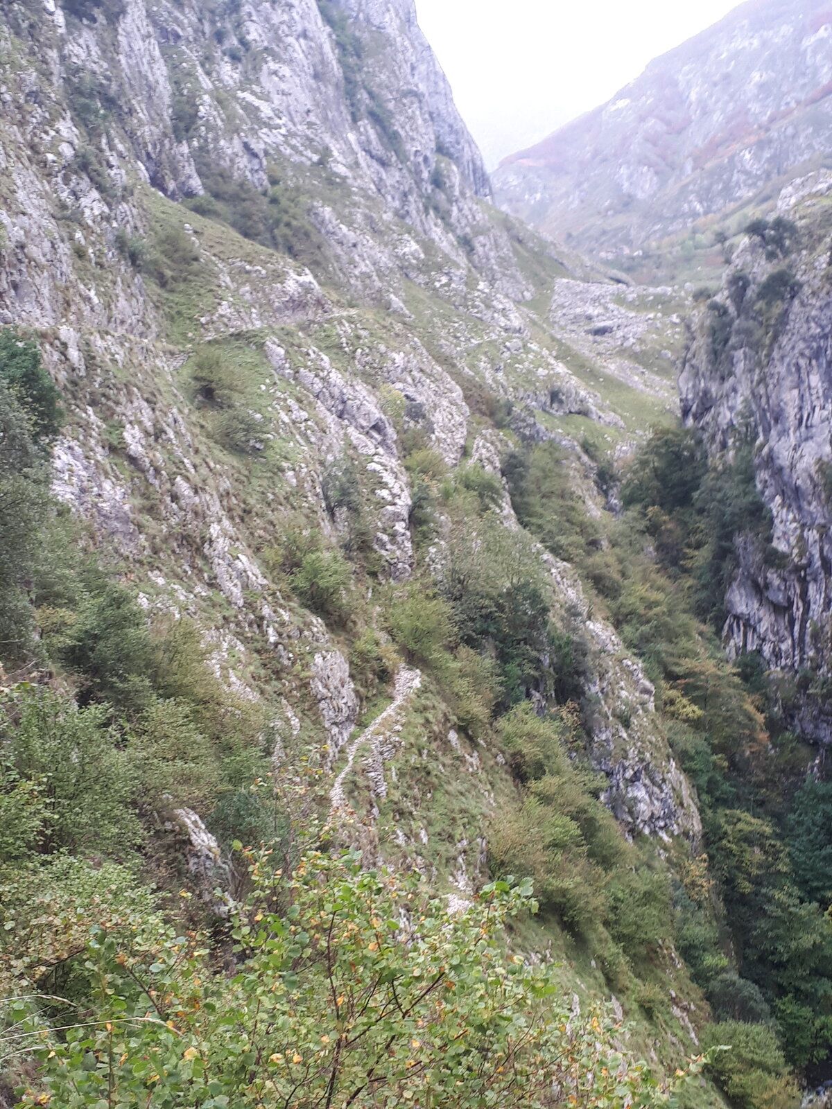 20191101_131813.jpg