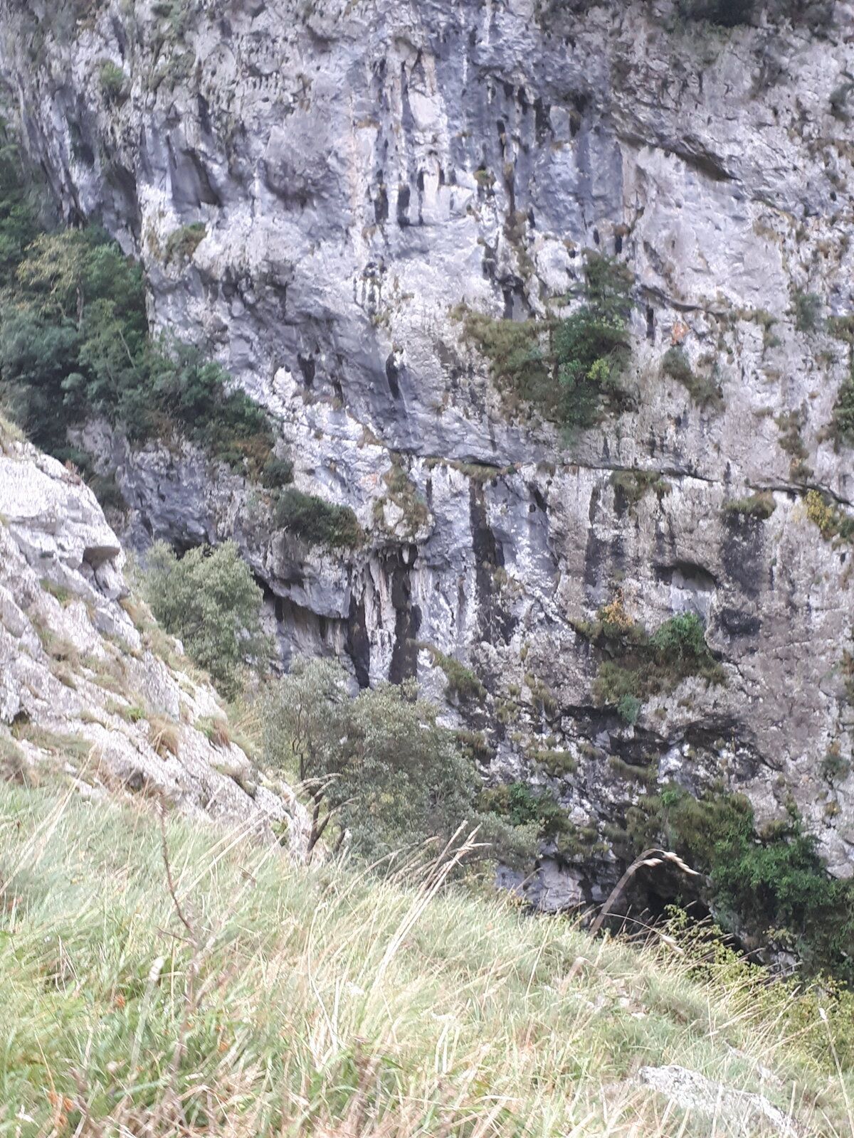 20191101_132203.jpg