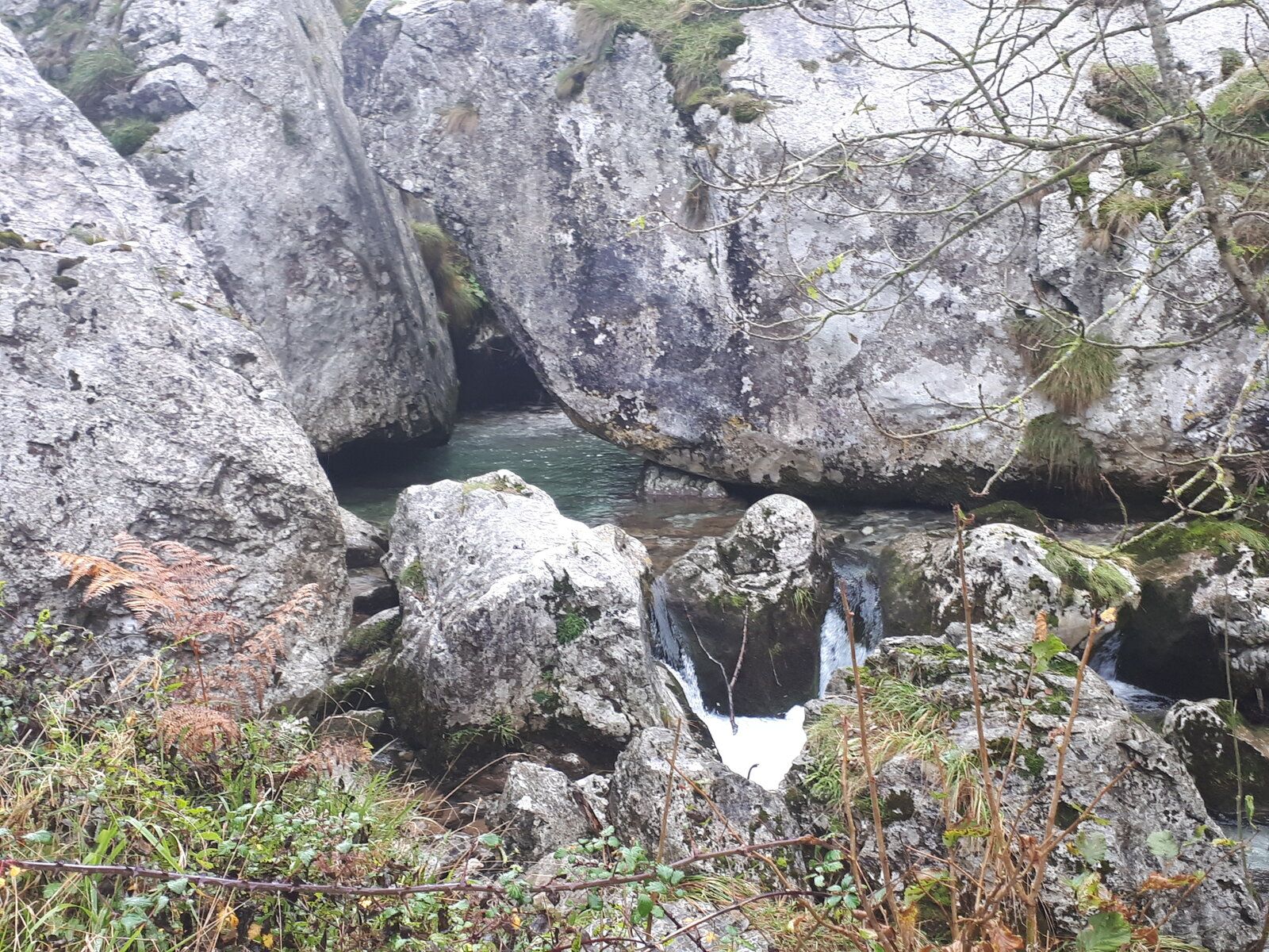 20191101_135219.jpg