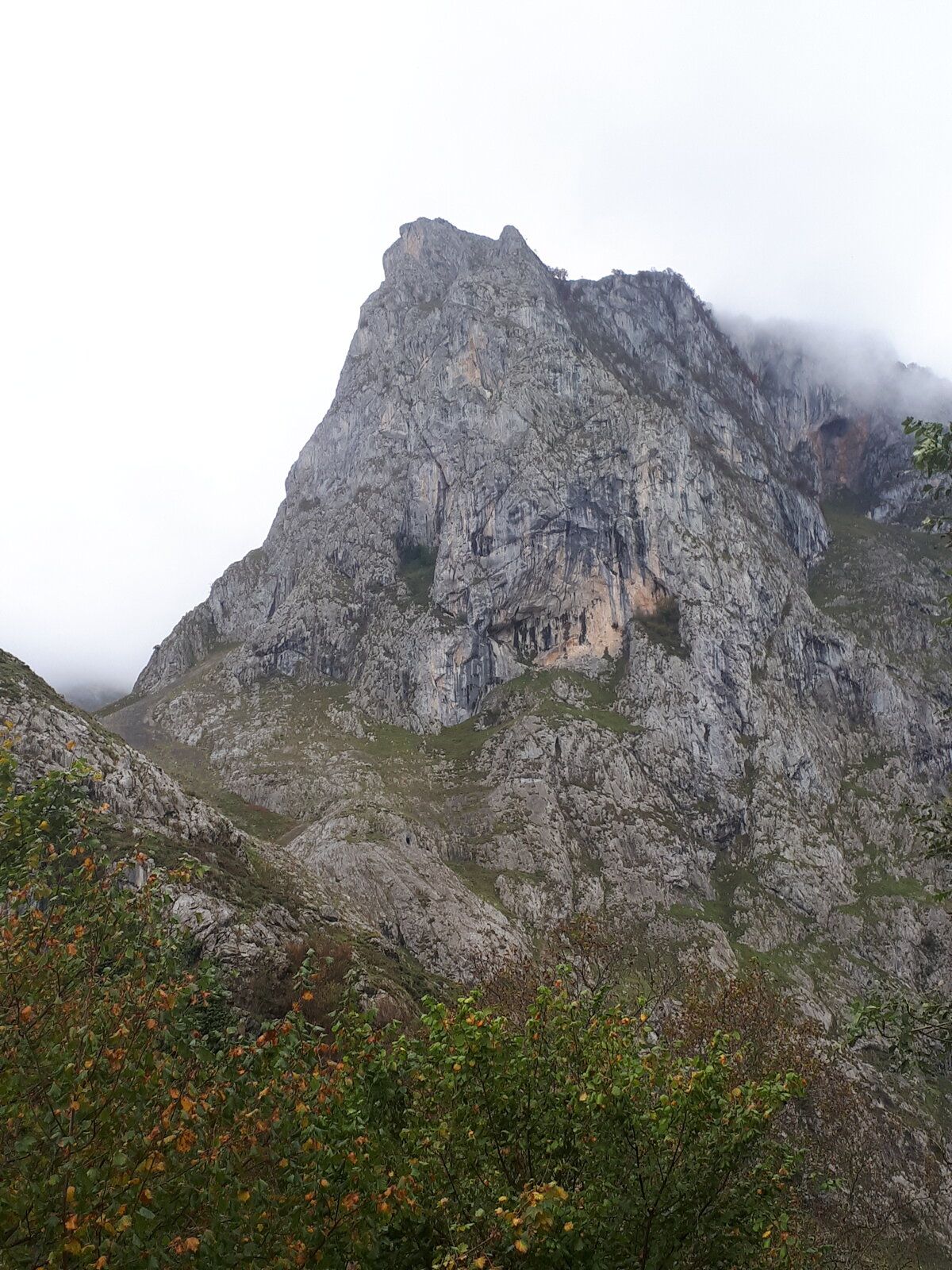 20191101_140255.jpg