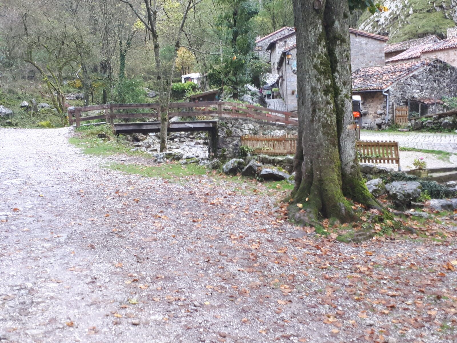 20191101_141152.jpg