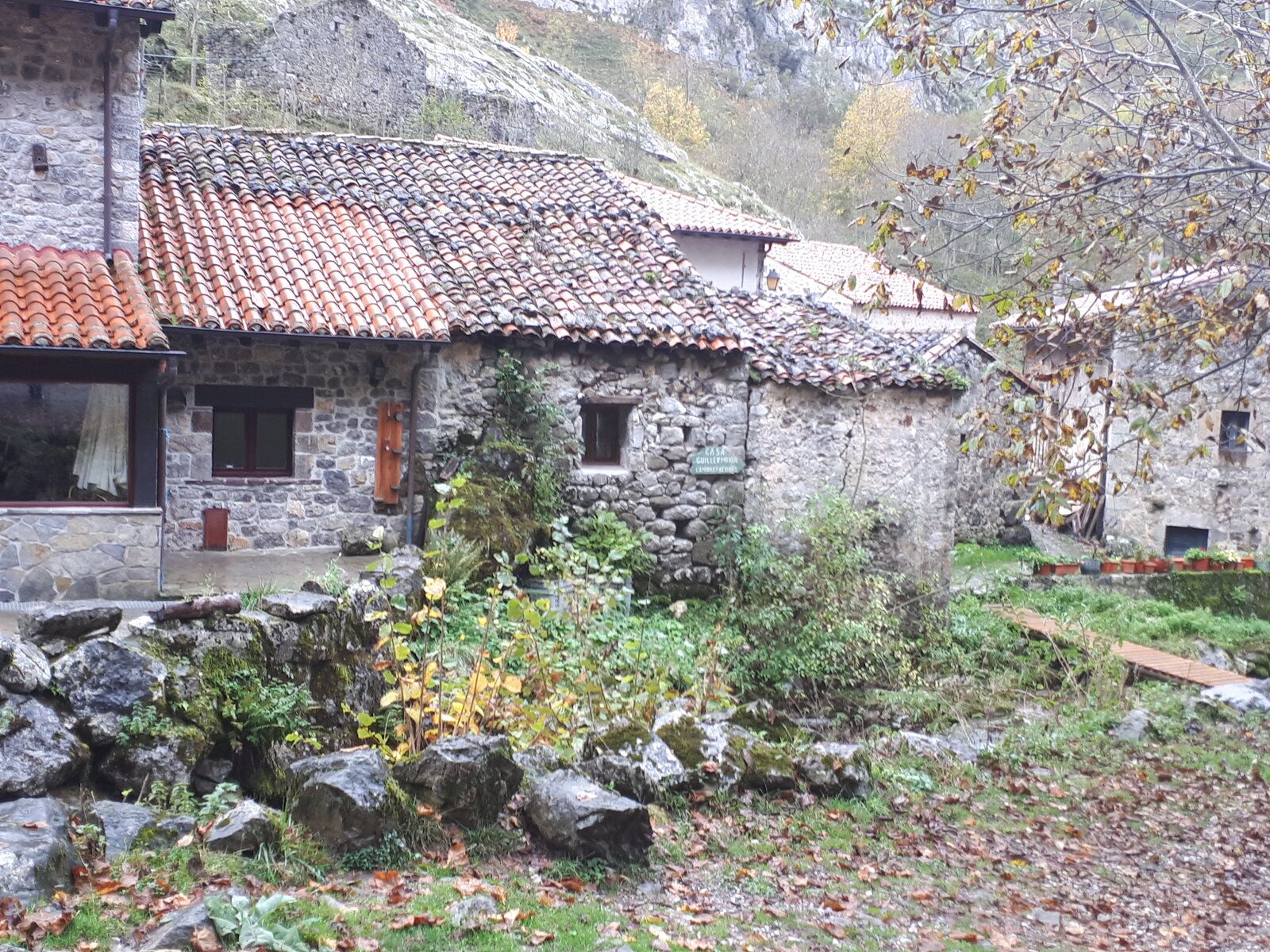 20191101_141159.jpg