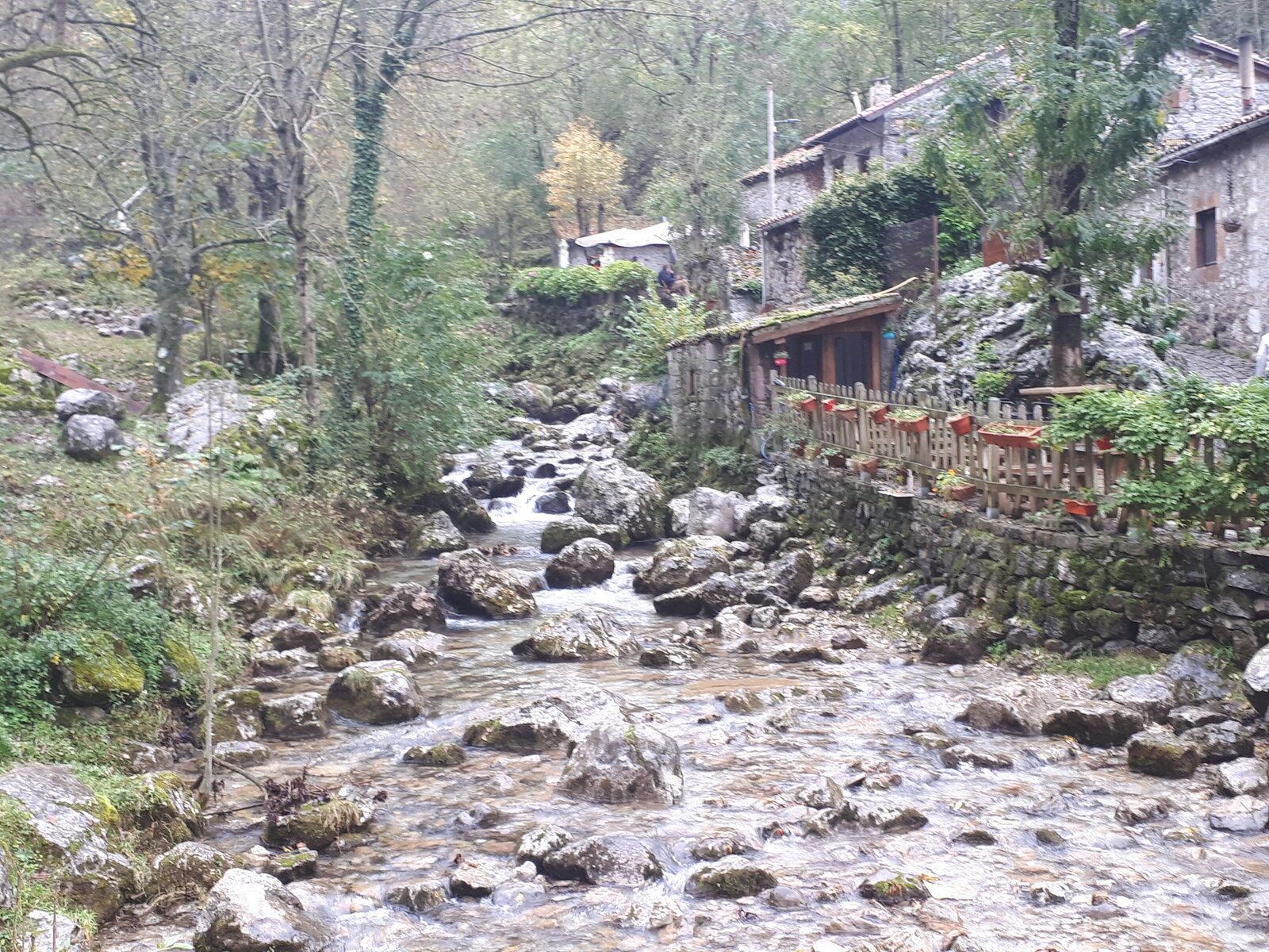 20191101_141254.jpg