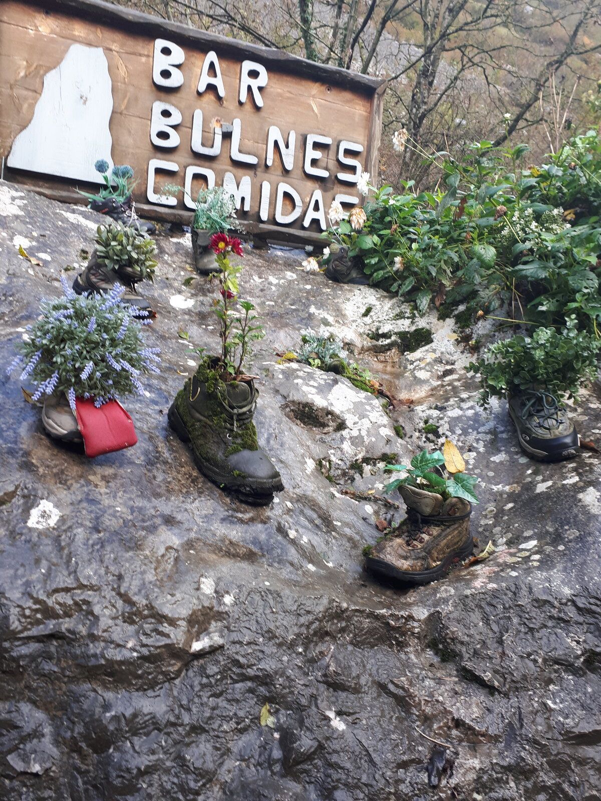 20191101_151913.jpg