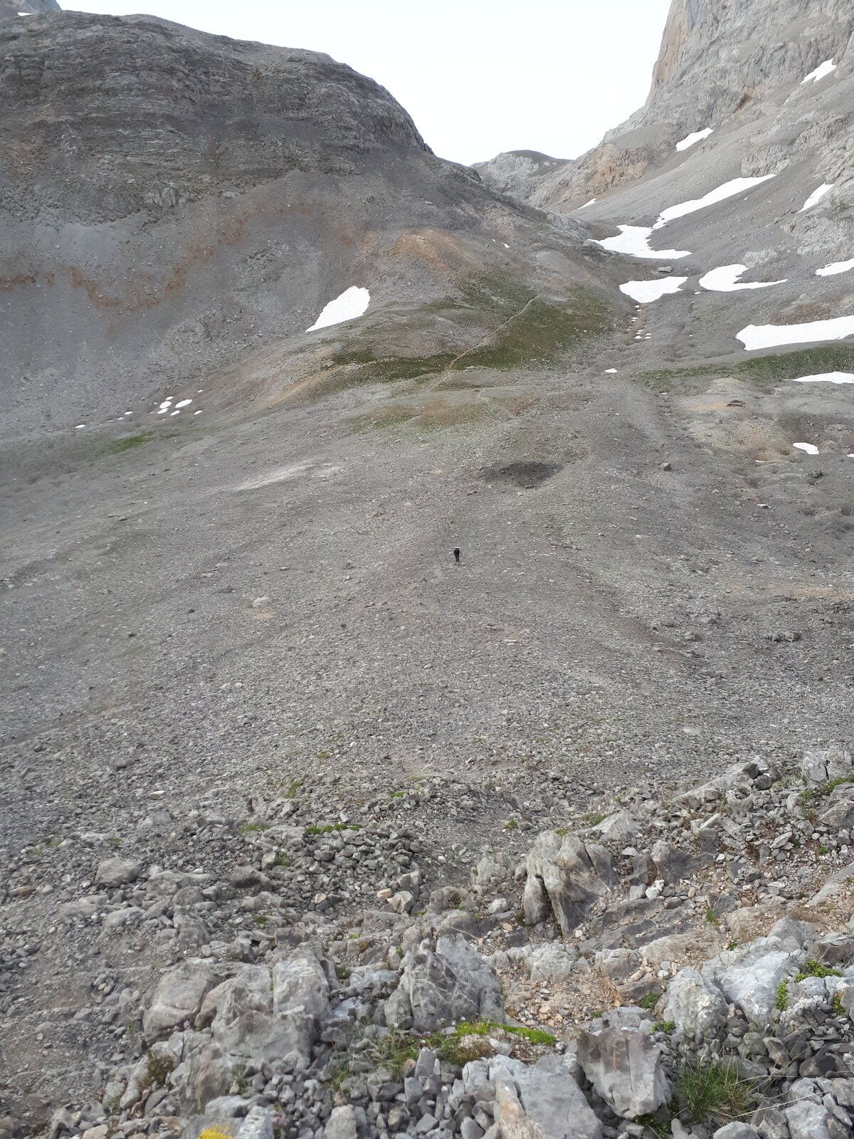 20200708_200944.jpg