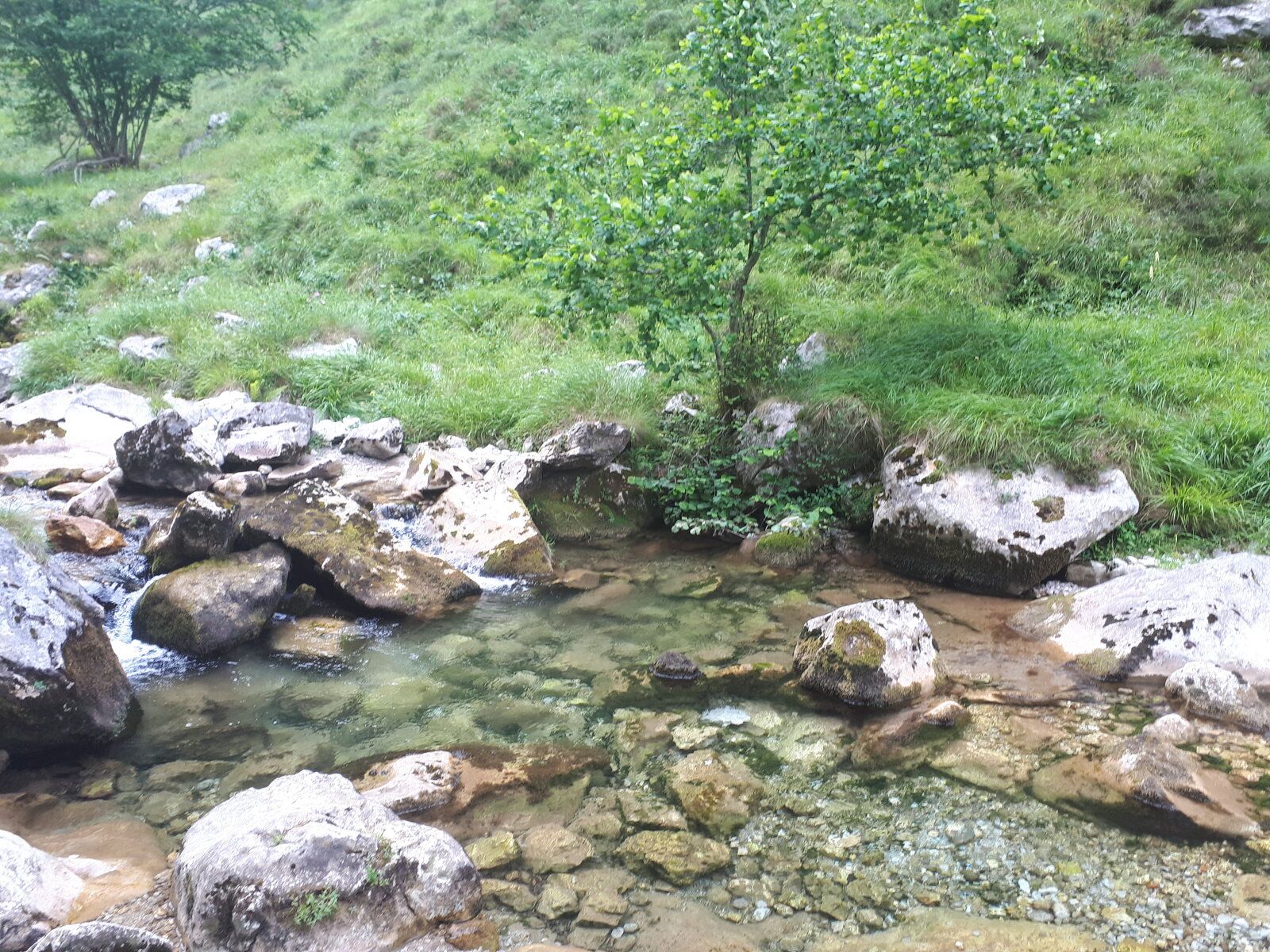 20200710_121306.jpg