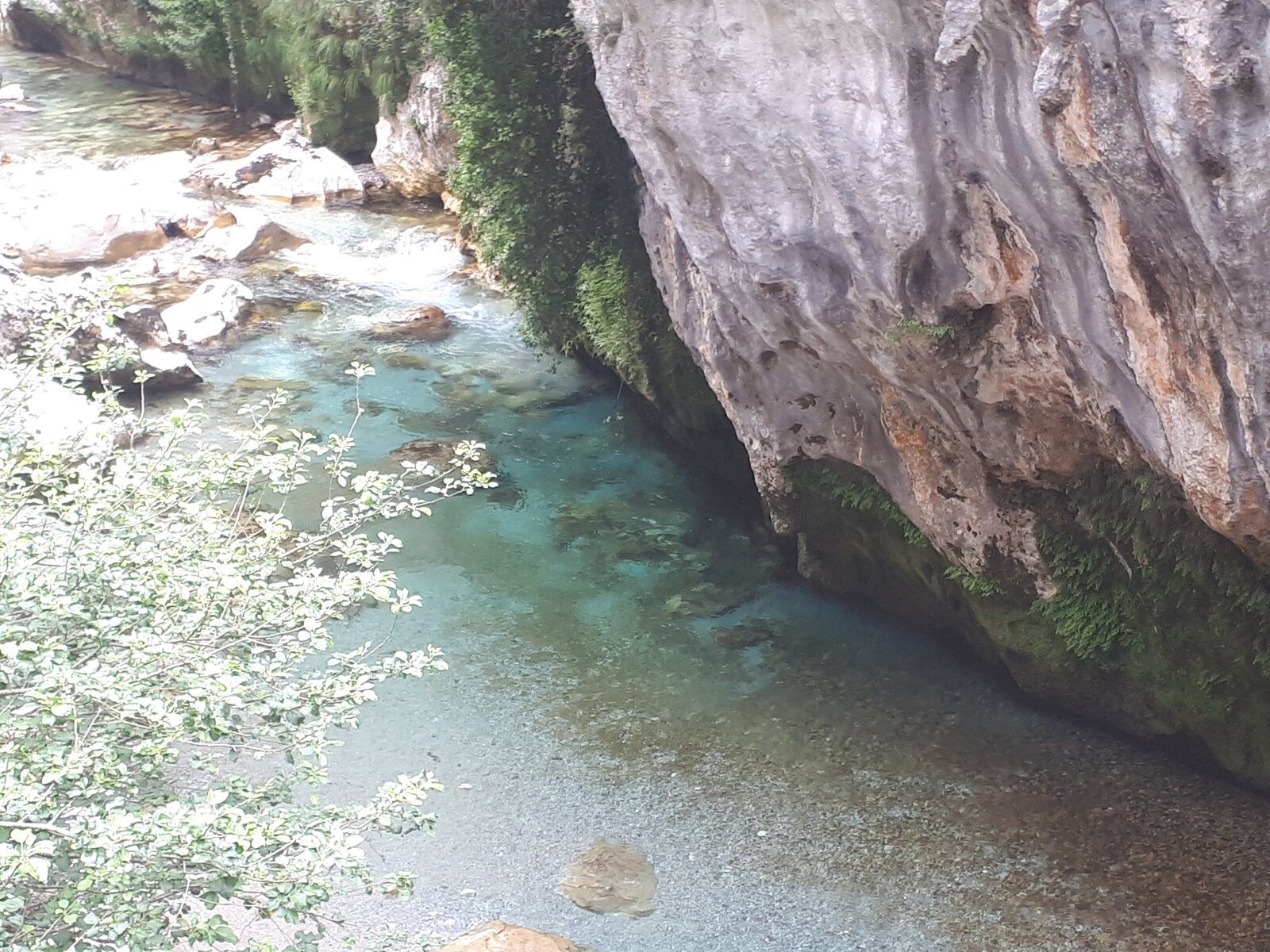 20200710_123156.jpg