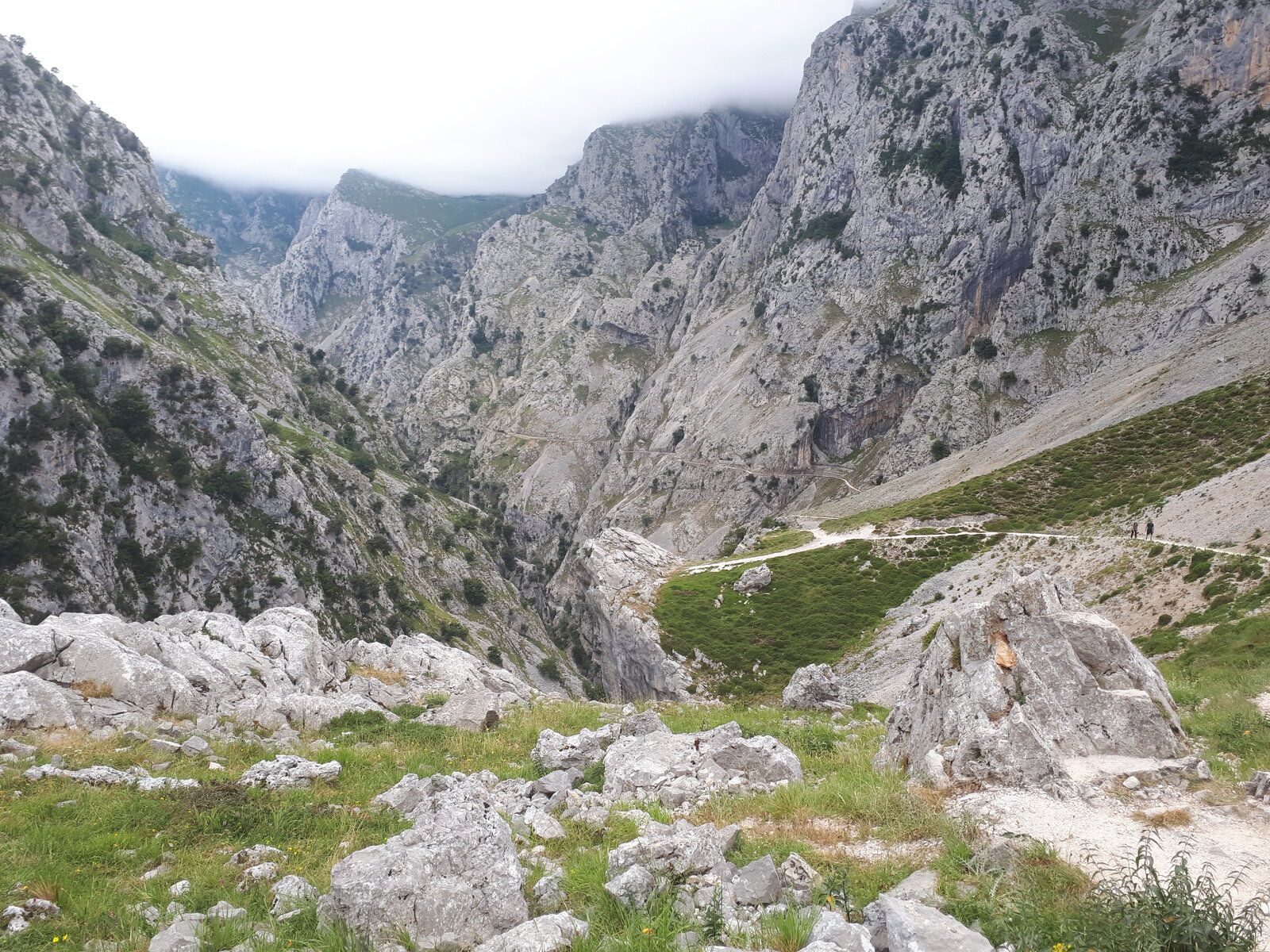 20200710_132206.jpg