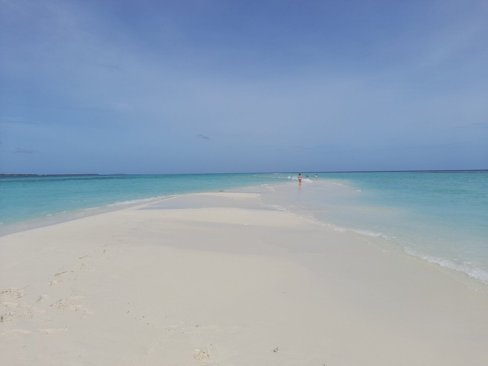 20220612_102900.jpg