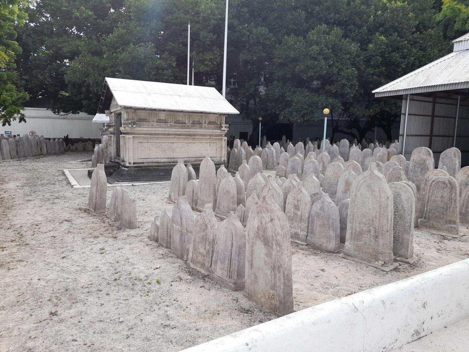 20220617_160417.jpg