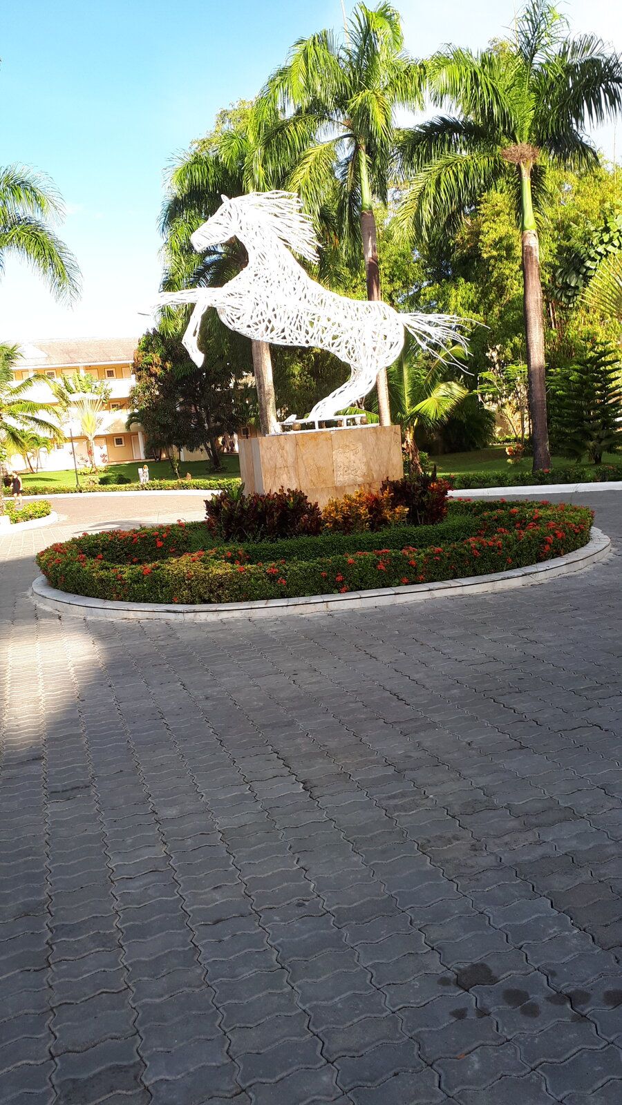 20220829_074003.jpg