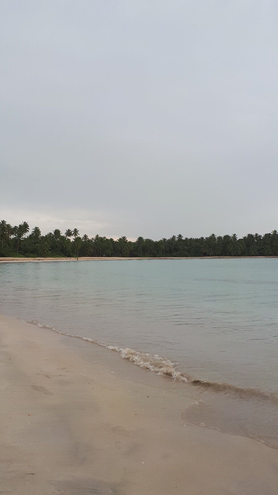 20220829_171031.jpg
