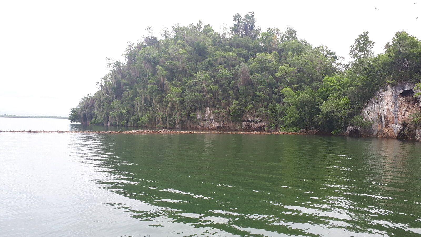 20220830_111317.jpg