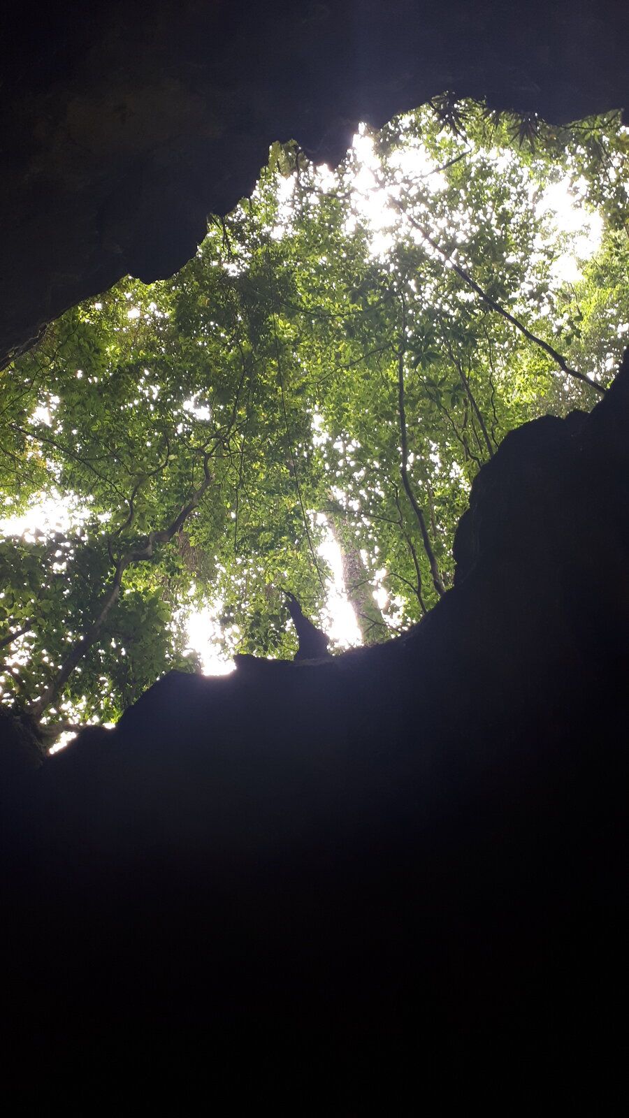 20220830_112413.jpg