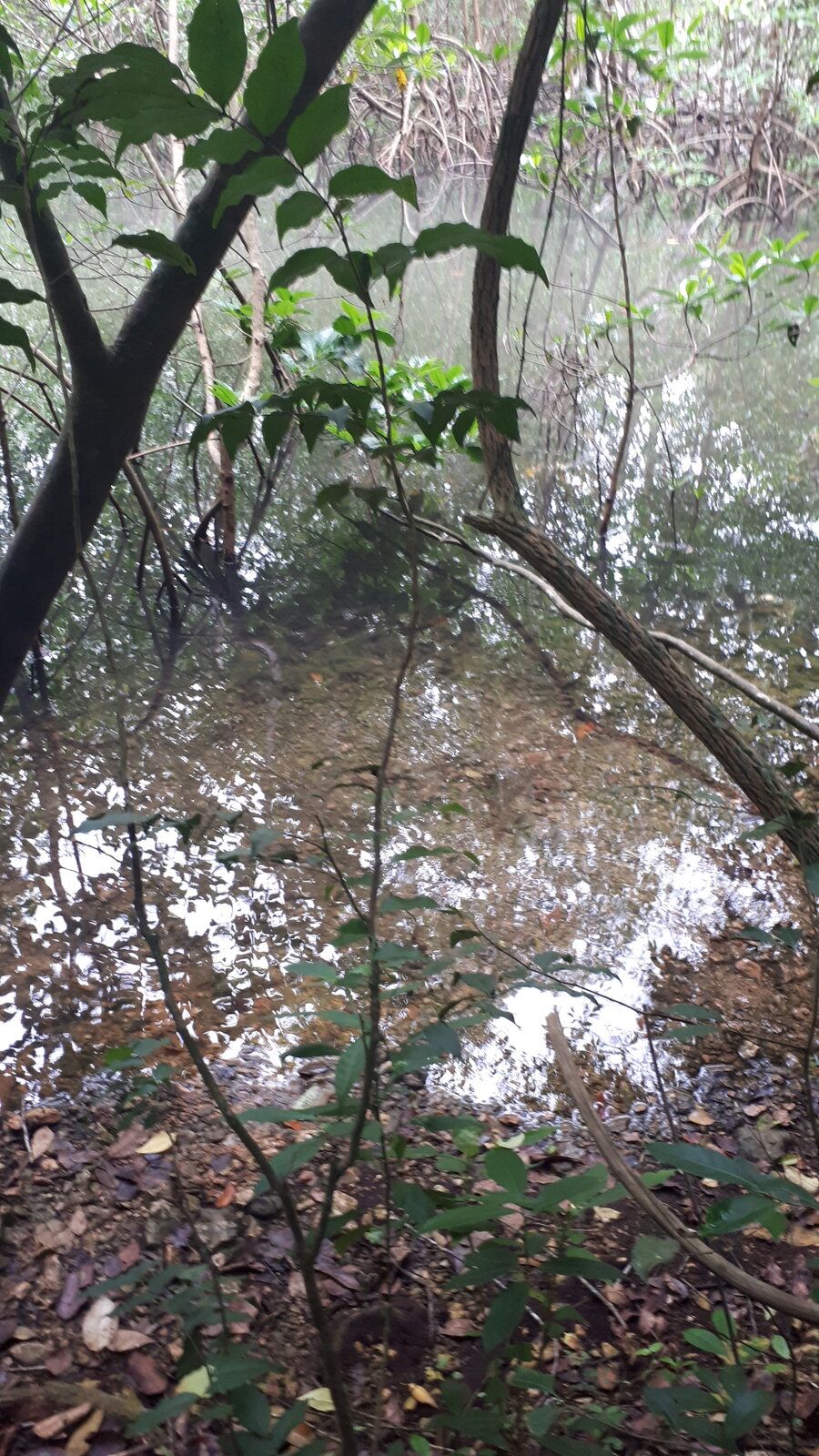 20220830_113843.jpg