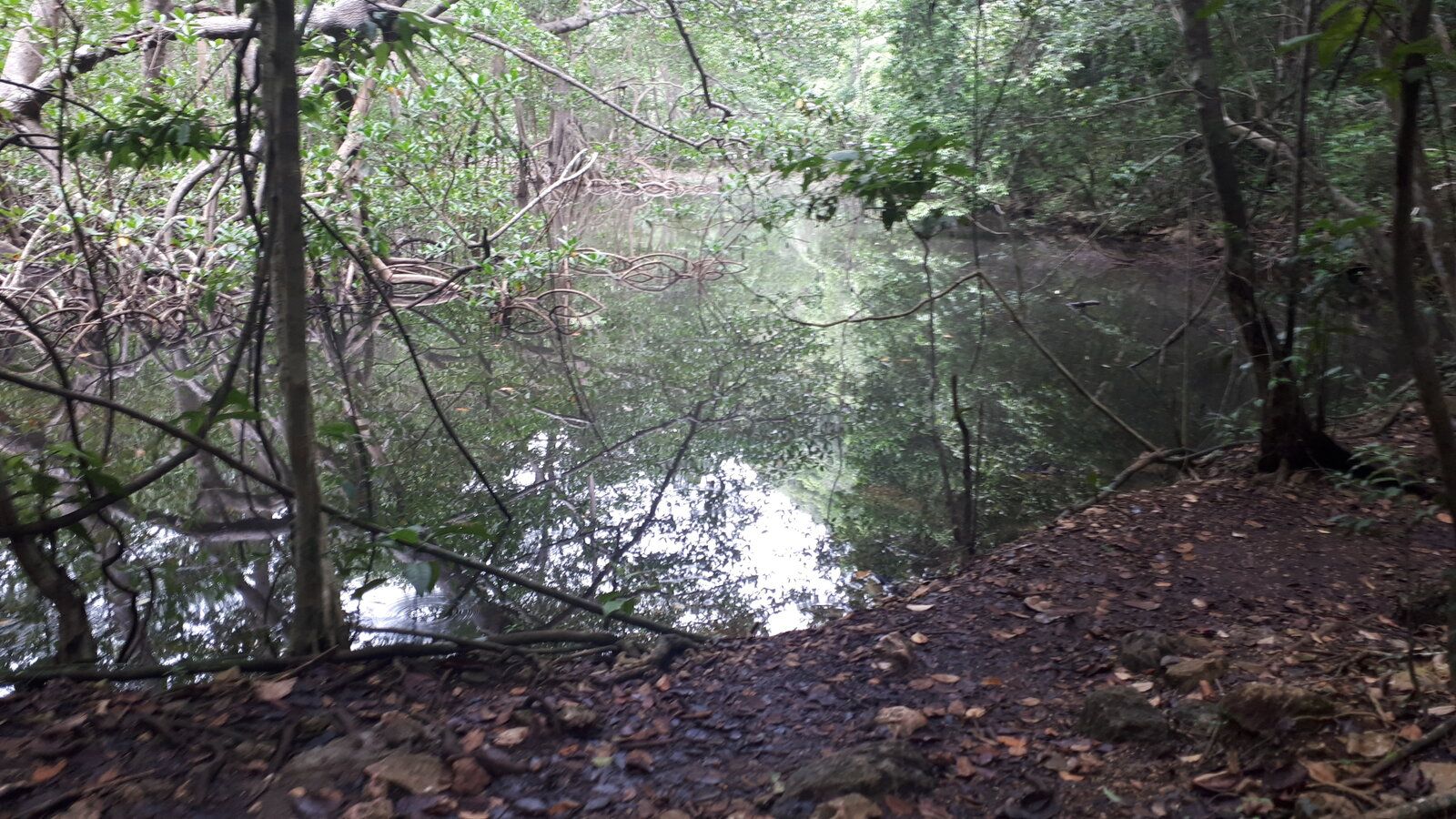 20220830_113910.jpg