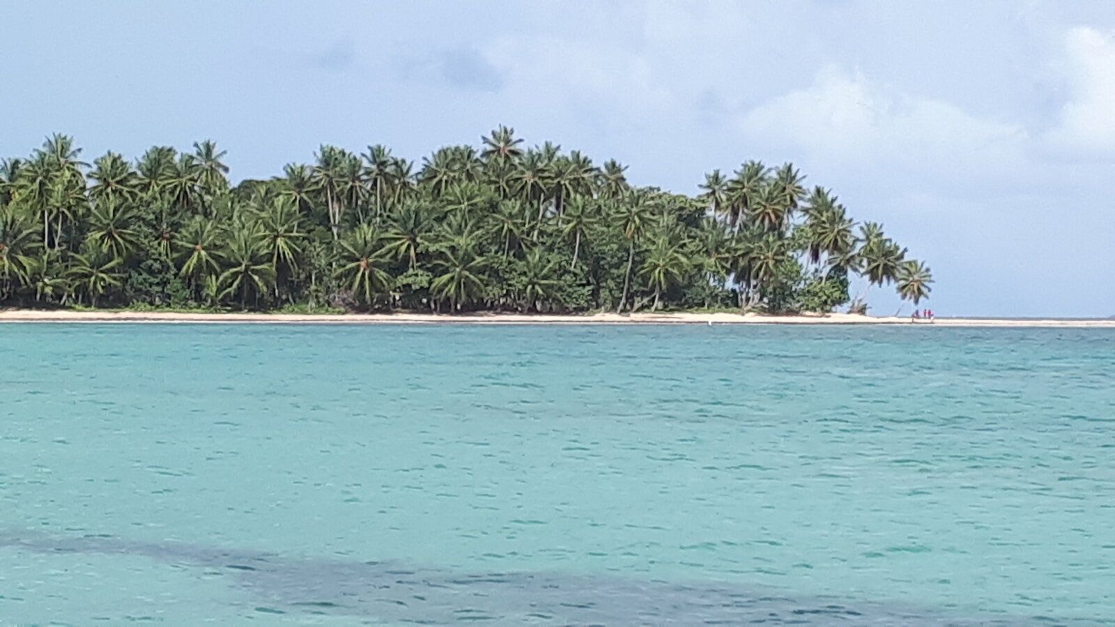 20220901_091814.jpg