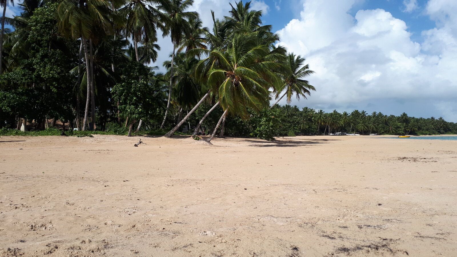 20220901_092937.jpg