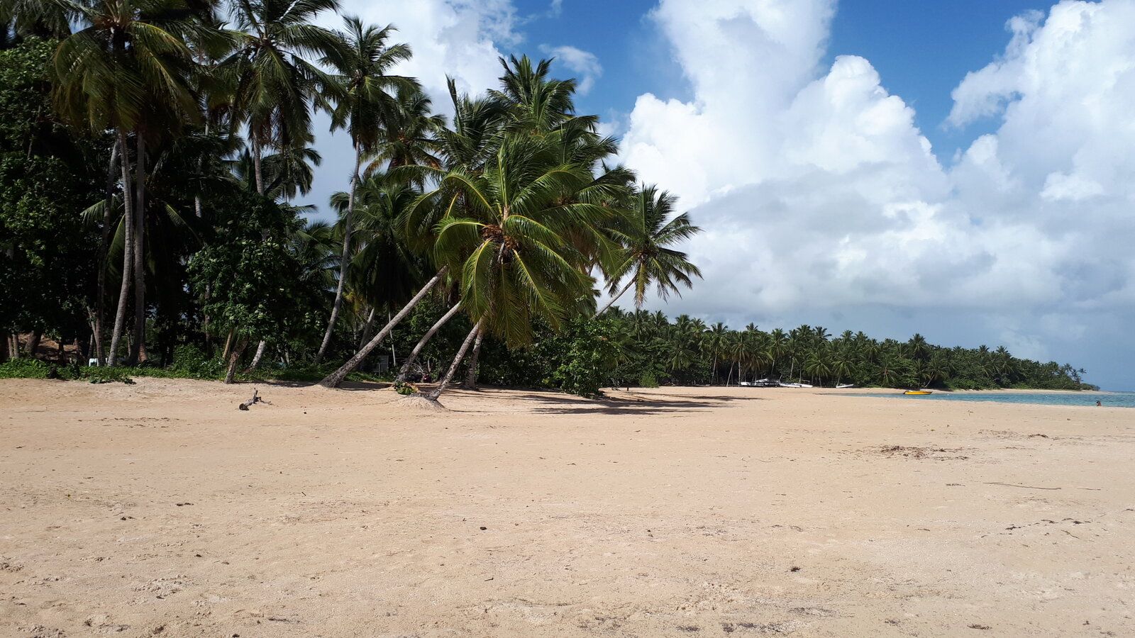20220901_093057.jpg