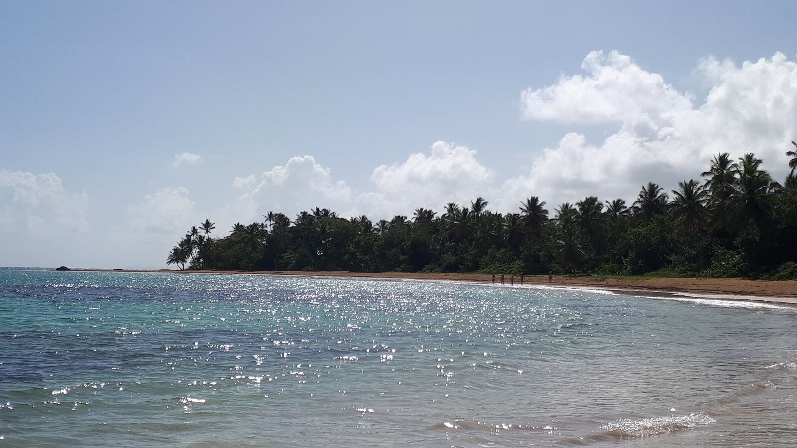 20220901_093947.jpg