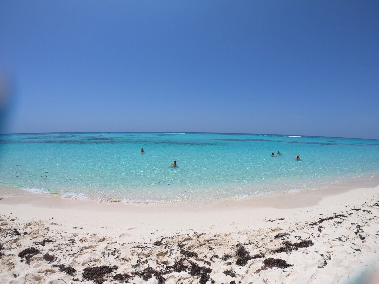 21.saona 9.JPG