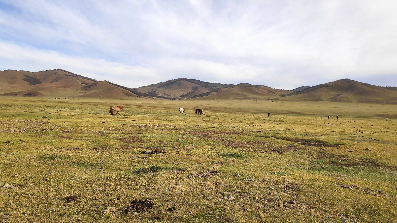 22 Mongólia.jpg