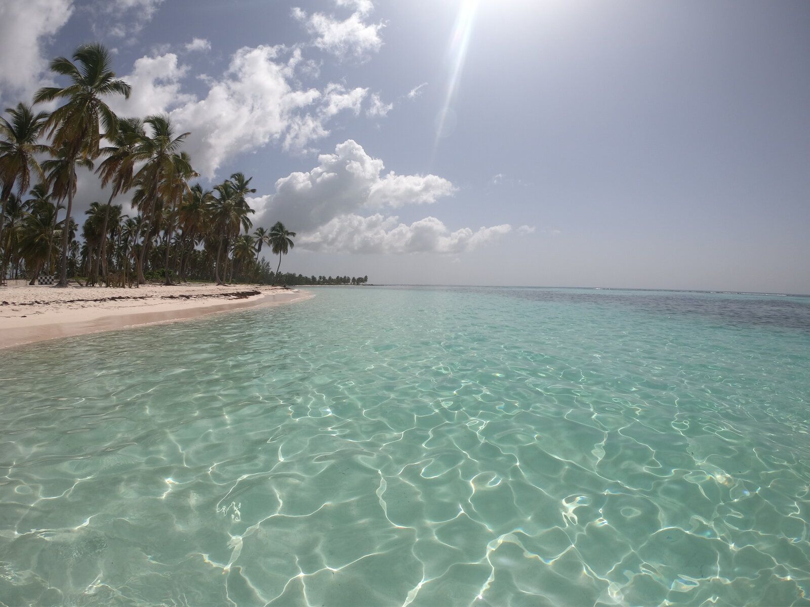 22.saona 3.JPG