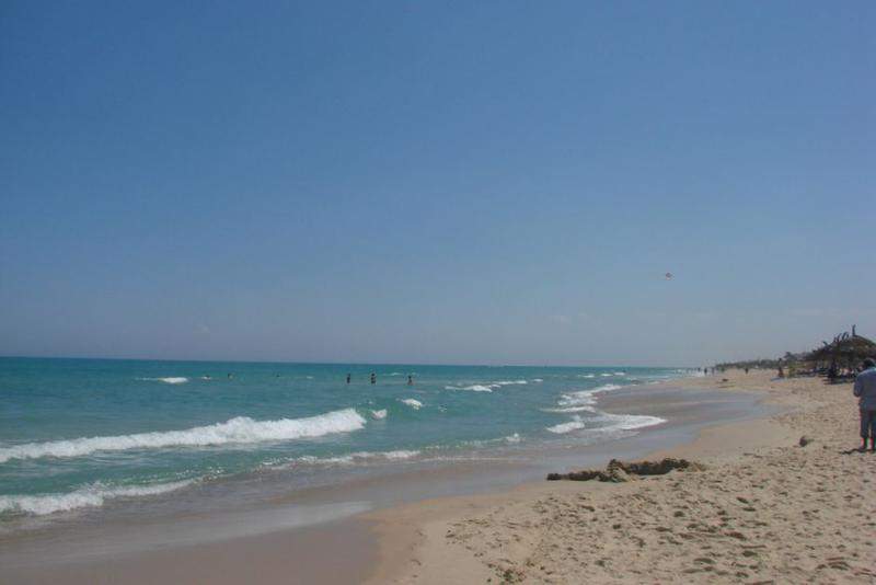 223