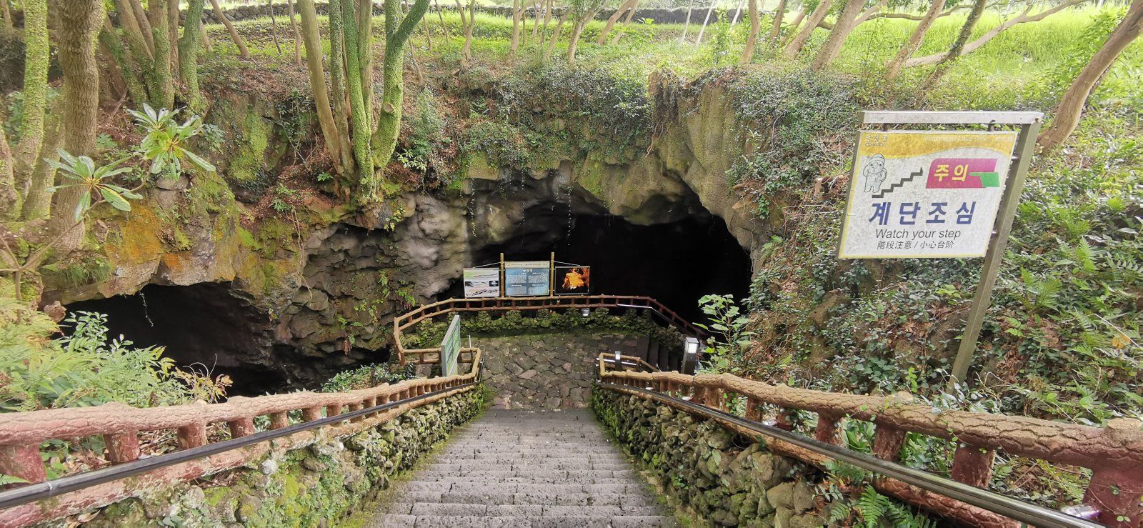23 Jeju.jpg