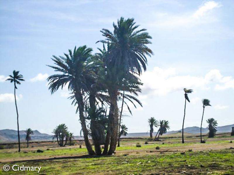 24 (1 De 1)