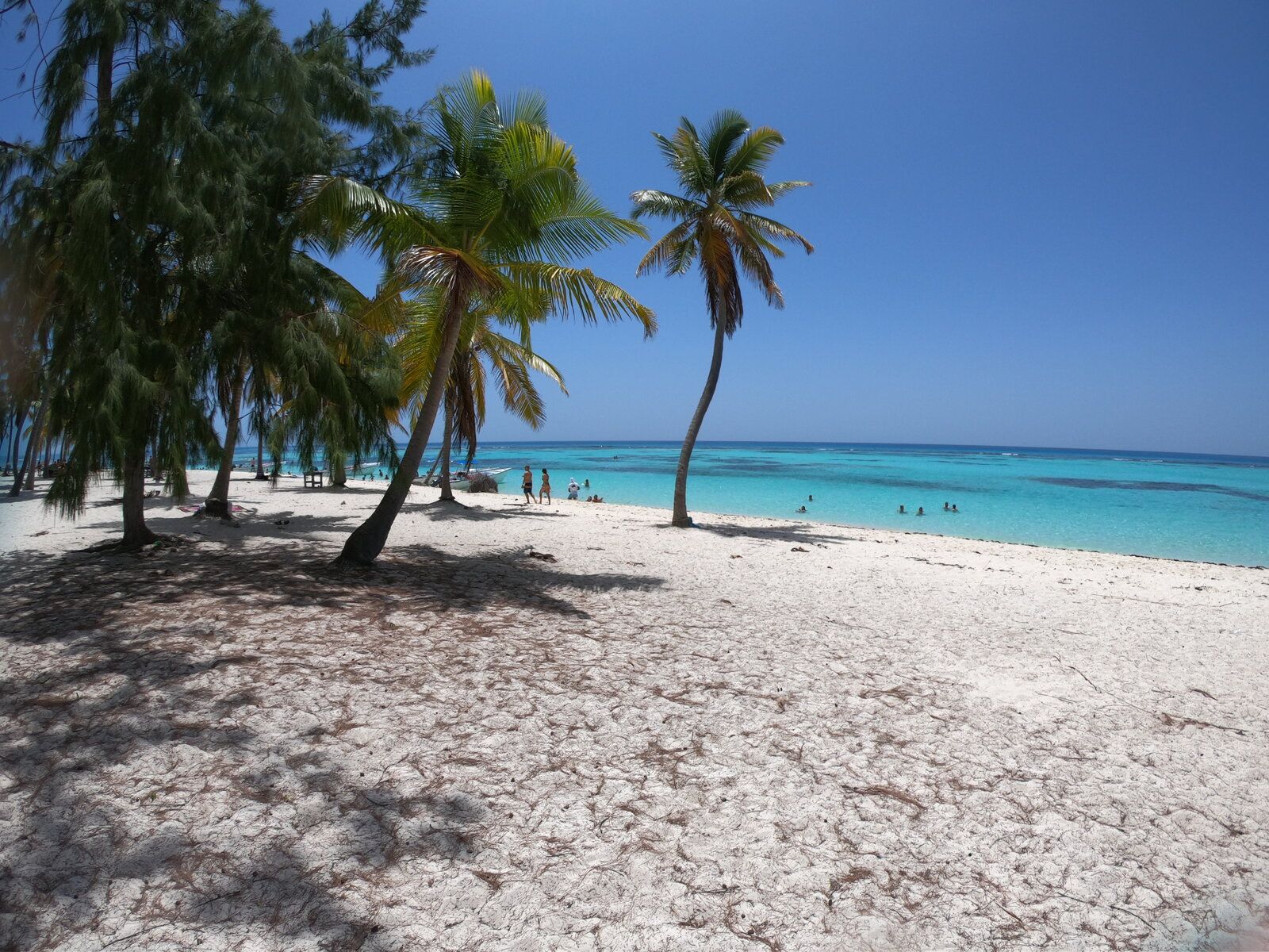 24.saona 11.JPG