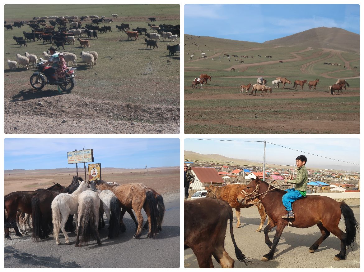 29 Mongólia.jpg