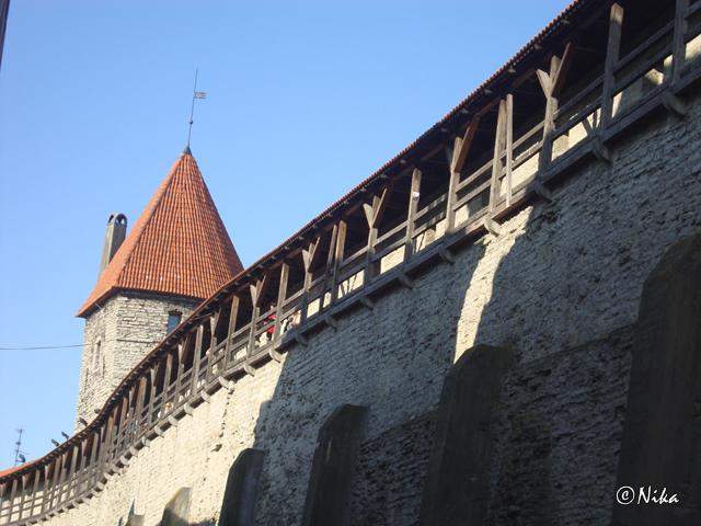 2Hellemanni Torn 2   Tallin