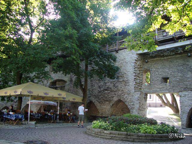 2Taani Kuninga Aed (Jardim do Rei) 1 - Tallinn.JPG