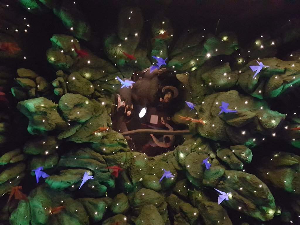 33