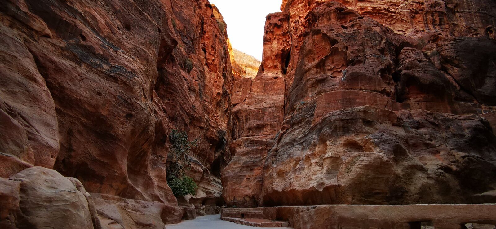 38 Petra.jpg
