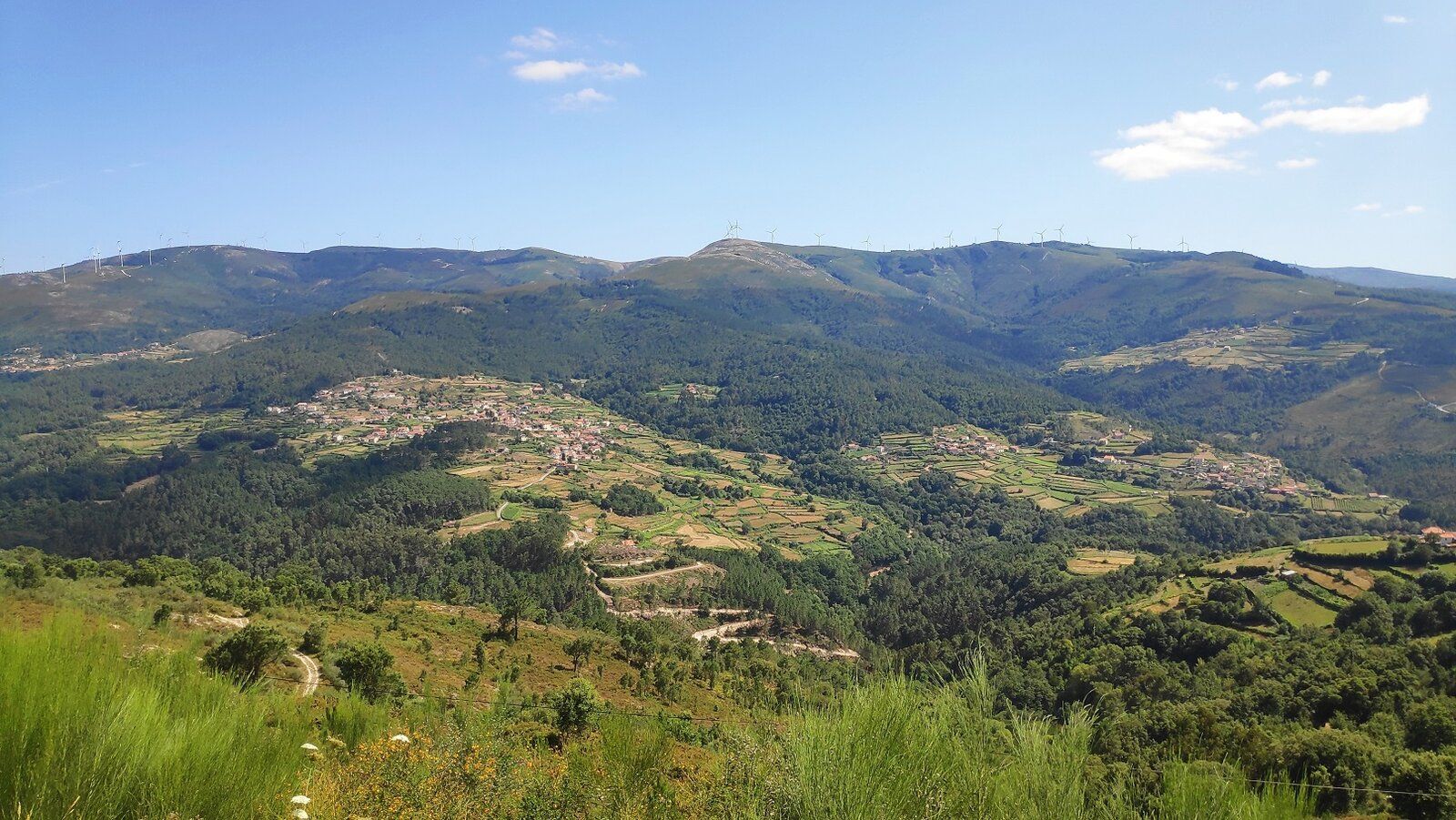 41 Caminho.jpg