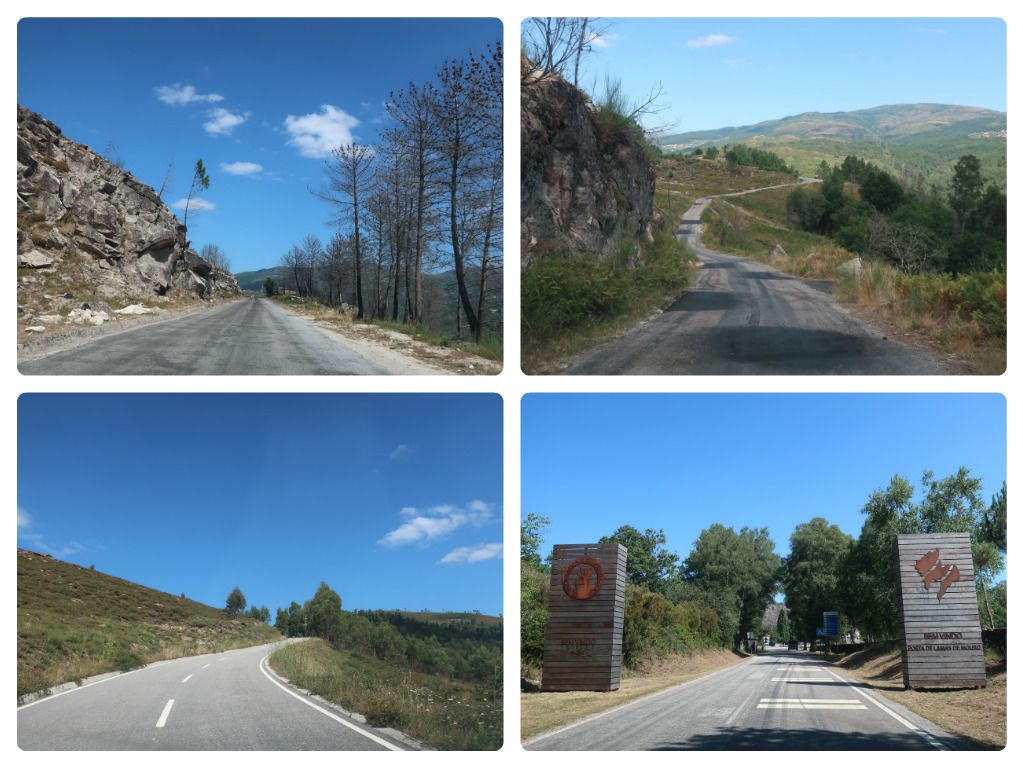 42 Caminho.jpg