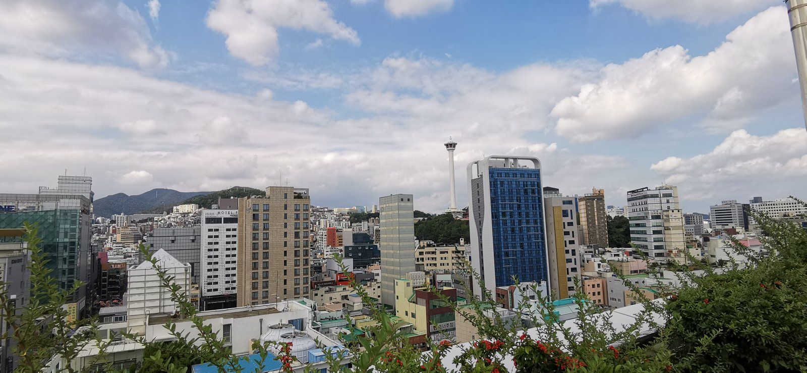 43 Busan.jpg