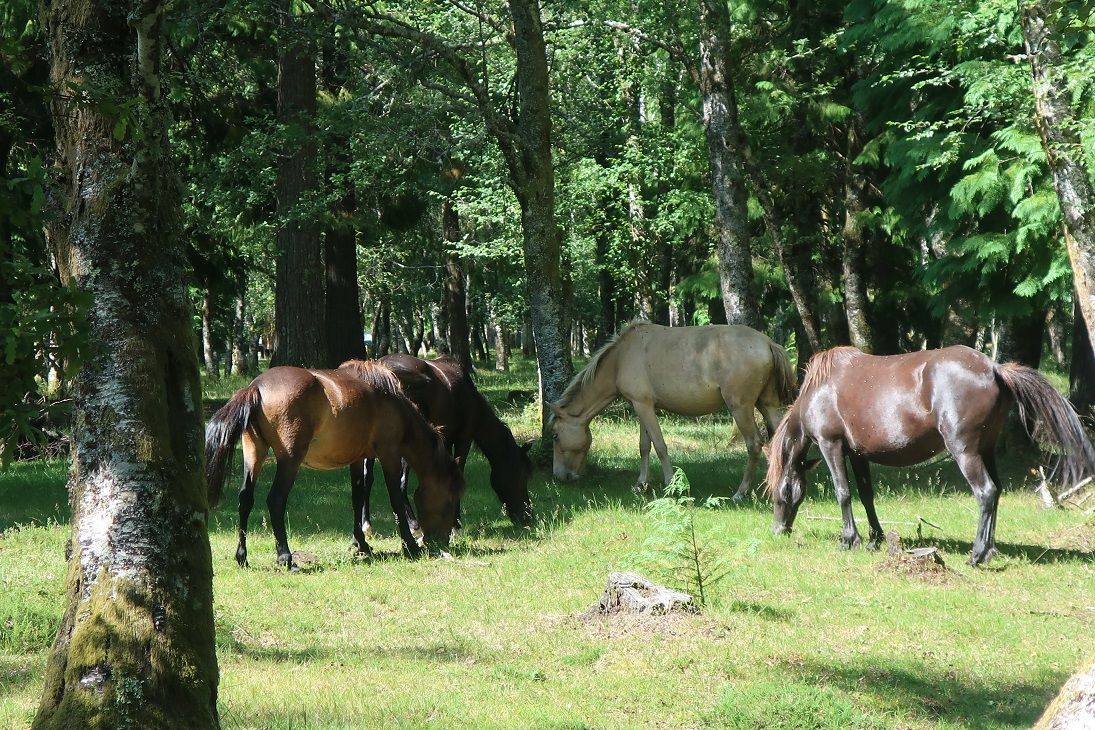 43 Parque.JPG
