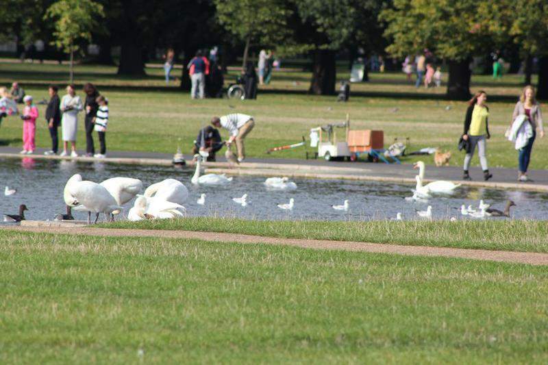 45 Hyde Park Keysington Palace.jpg