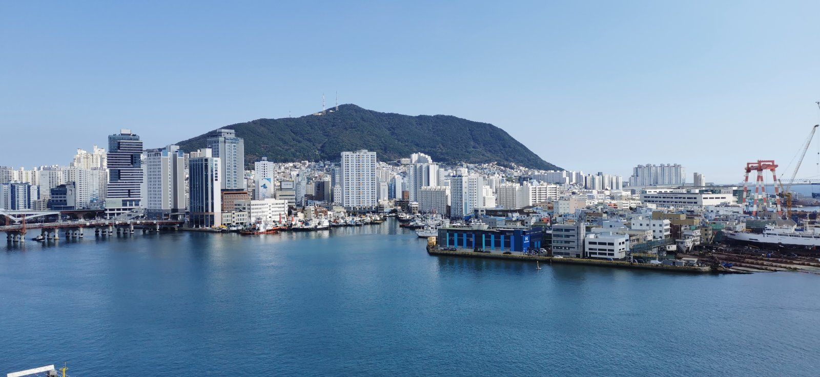48 Busan.jpg