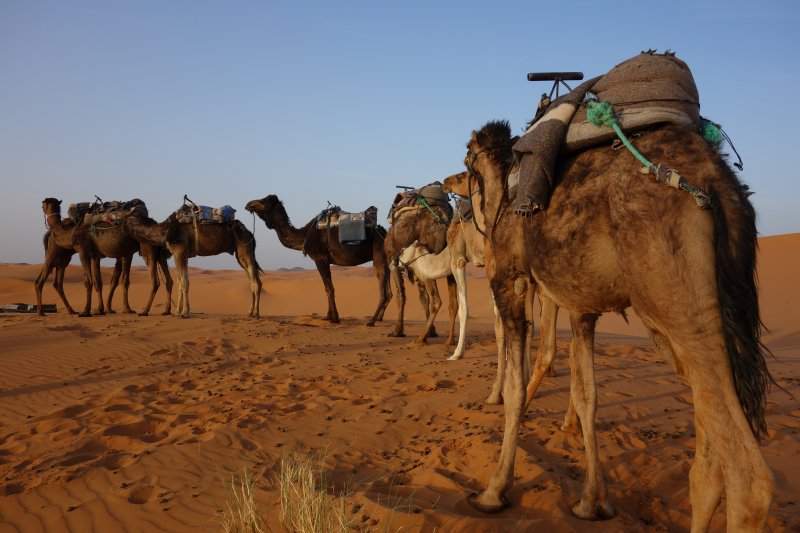 5 Deserto