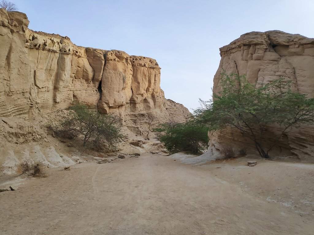 50 Canyon