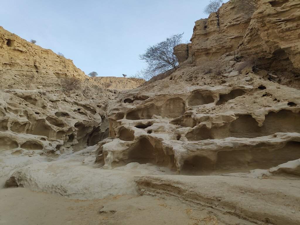 51 Canyon