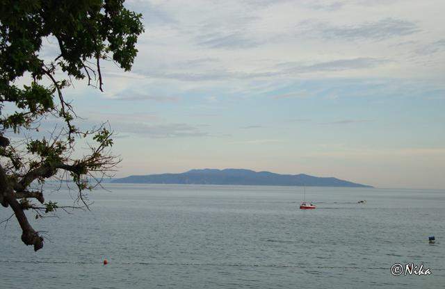 5DSC04376 Ilha Cres - Croácia.JPG