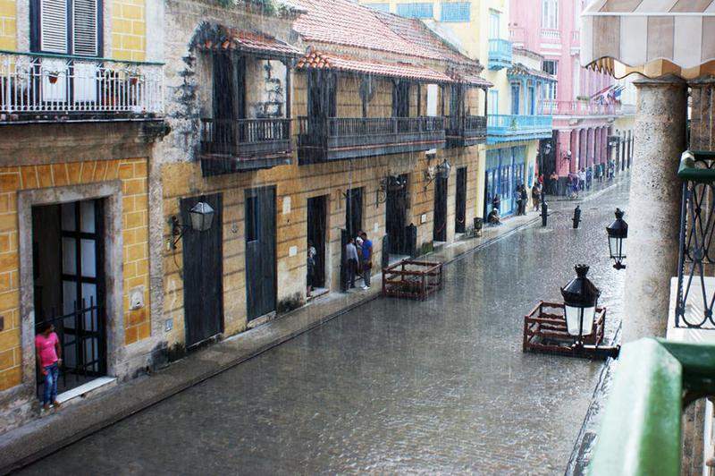 6 - HAVANA CHOVER
