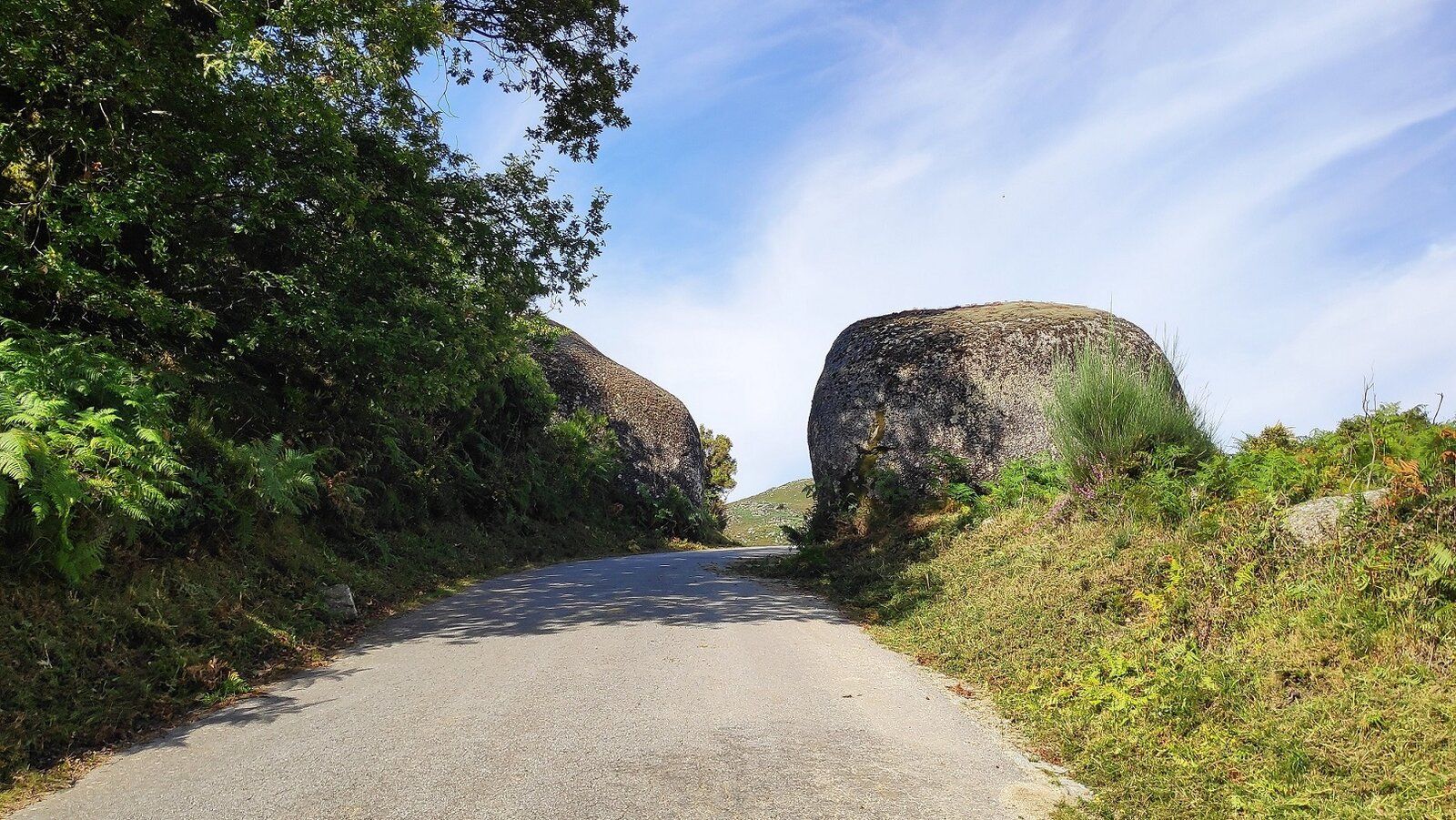 61 Caminho.jpg